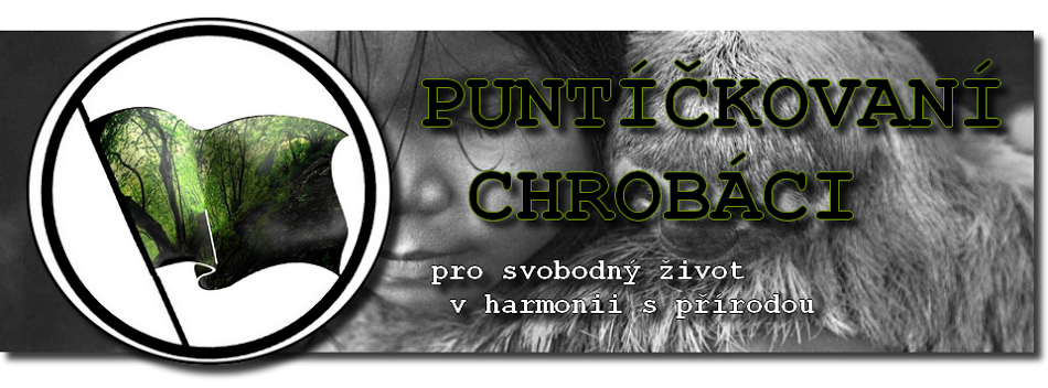 Puntíčkovaní chrobáci